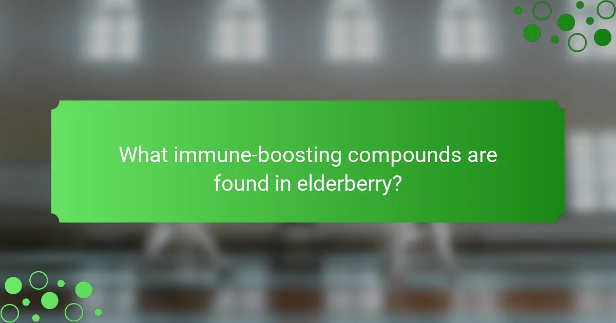 What immune-boosting compounds are found in elderberry?